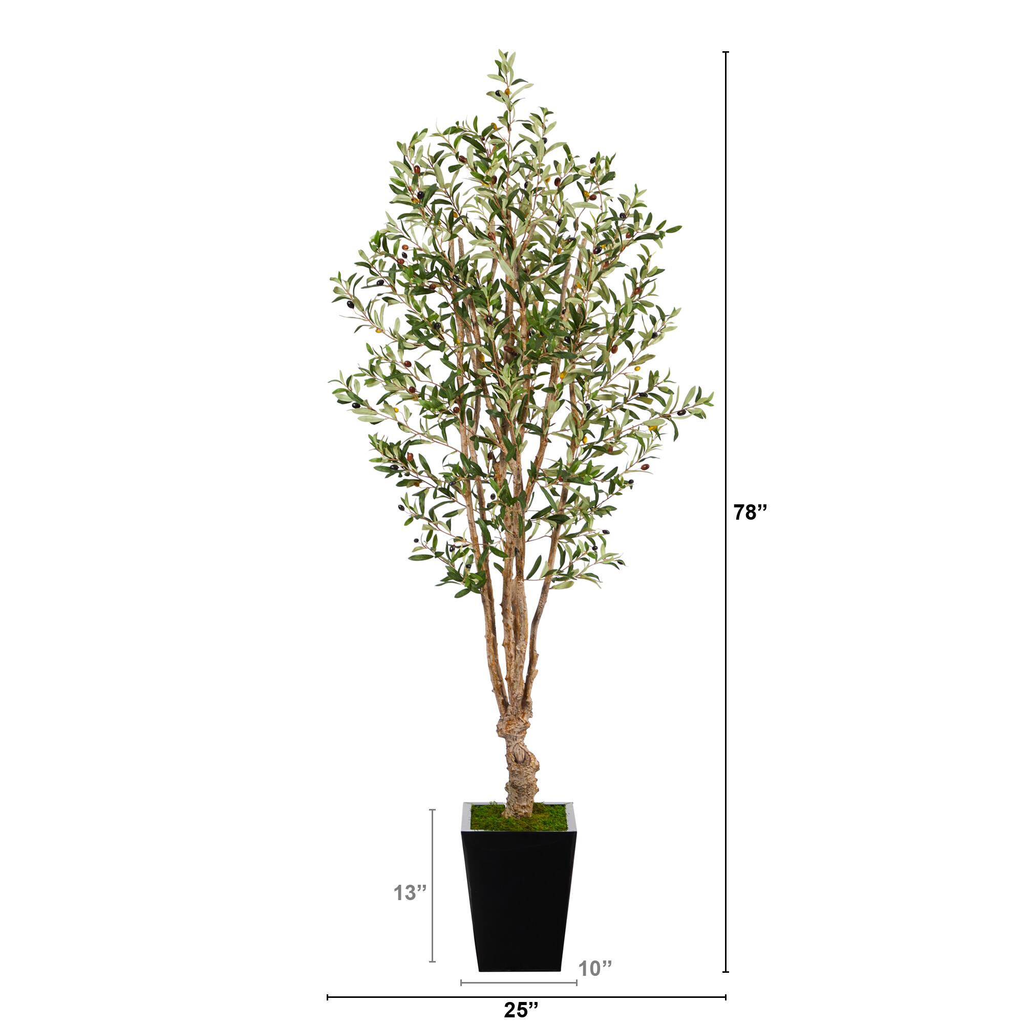 6.5ft. Olive Tree in Black Metal Planter